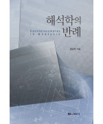 해석학의 반례