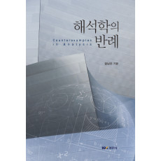해석학의 반례