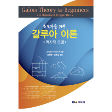 초보자를 위한 갈루아 이론 : 역사적 조망