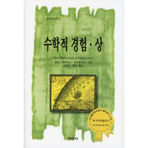 수학적 경험(상) [경문수학산책 06]