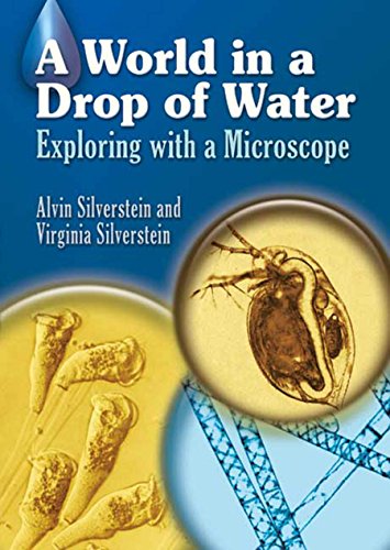 World in a Drop of Water: Exploring with a Microscope