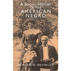 Social History of the American Negro