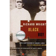 Black Boy: A Record of Childhood and Youth