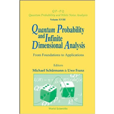 Quantum Probability And Infinite Dimensional Analysis(2005)