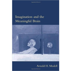 Imagination and the Meaningful Brain(2003)