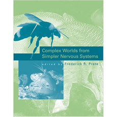 Complex Worlds from Simpler Nervous Systems(2004)