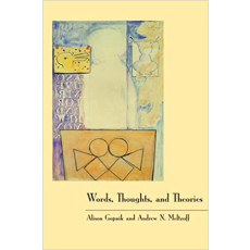 Words, Thoughts, and Theories(1998)