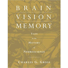 Brain, Vision, Memory(1999)