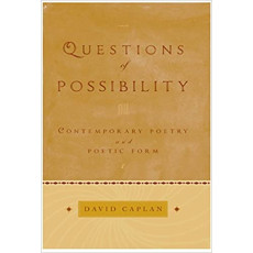Questions of Possibility(2004)