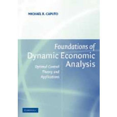 Foundations of Dynamic Economic Analysis
