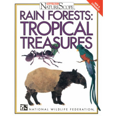 Rain Forests: Tropical Treasures