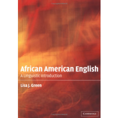 African American English : A Linguistic Introduction(2002)