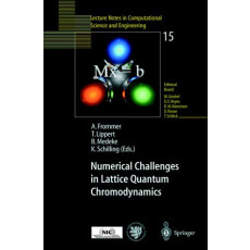 Numerical Challenges in Lattice Quantum Chromodynamics - Lecture Notes in Computational Science and Engineering(2000)