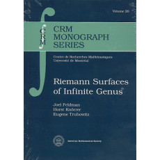 Riemann Surfaces of Infinite Genus: CRM Monograph Series Vol.20(2003)