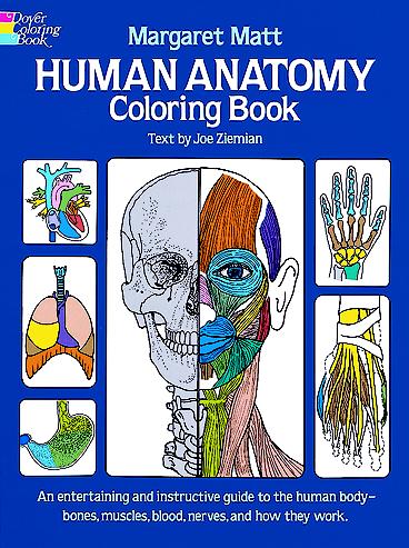 Human Anatomy Coloring Book