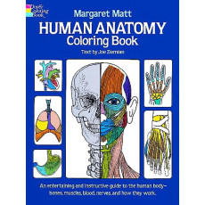 Human Anatomy Coloring Book