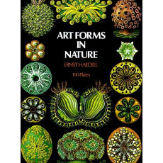 Art Forms in Nature