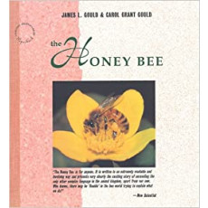 The Honey Bee(1995)