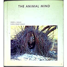 The Animal Mind(1994)