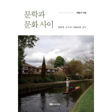 문학과 문화 사이